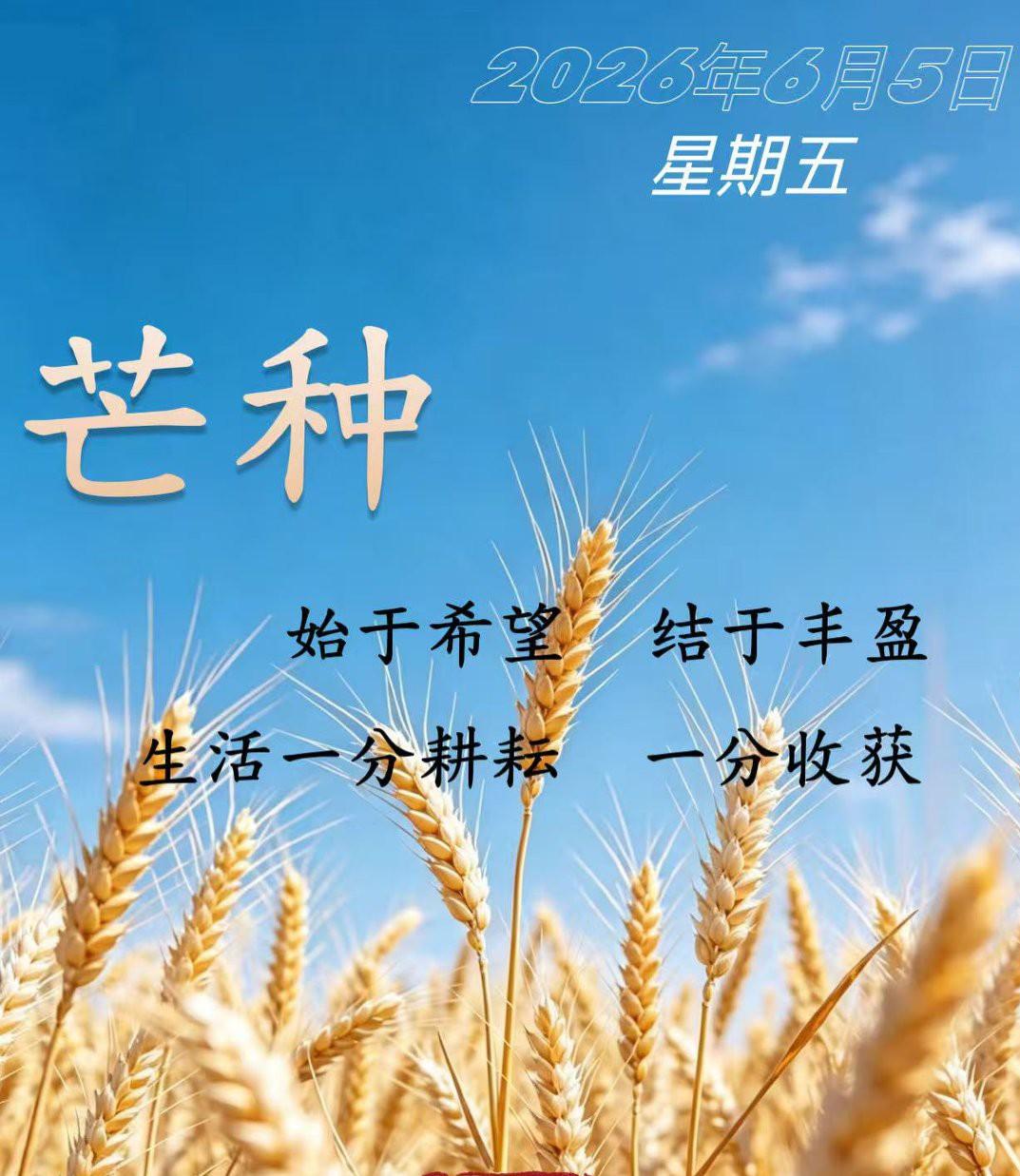 芒种时节耕耘忙，汗水孕育好时光，愿一分辛劳一分收获。早安🌾