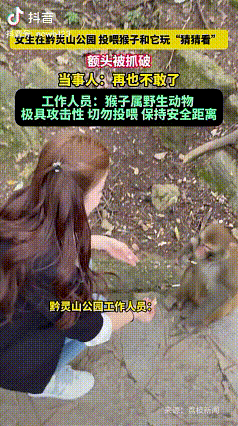 “下次不敢耍猴了”

9月16日，贵州一动物园里发生了猴子袭击人事件，一名女子跟