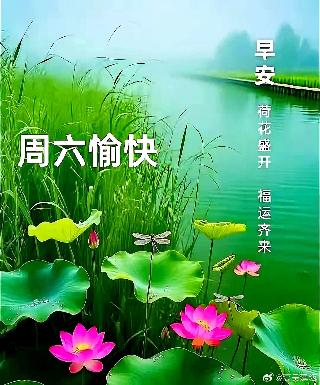 每天摸鱼打卡美丽的世界，我们同爱，健康的大道，我们同行，愉悦的心情，我们同乐，幸