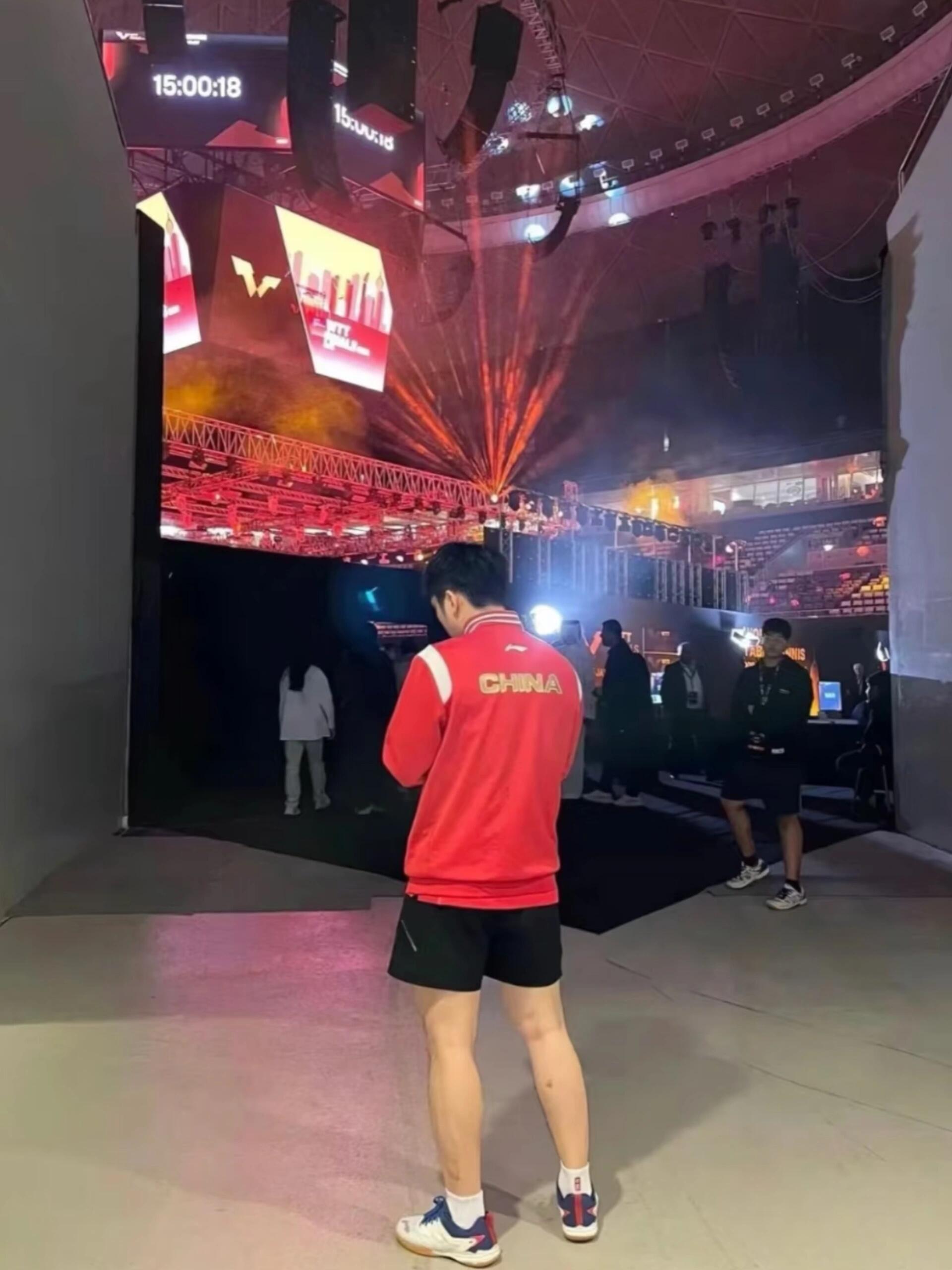 樊振东的一些经典神图 