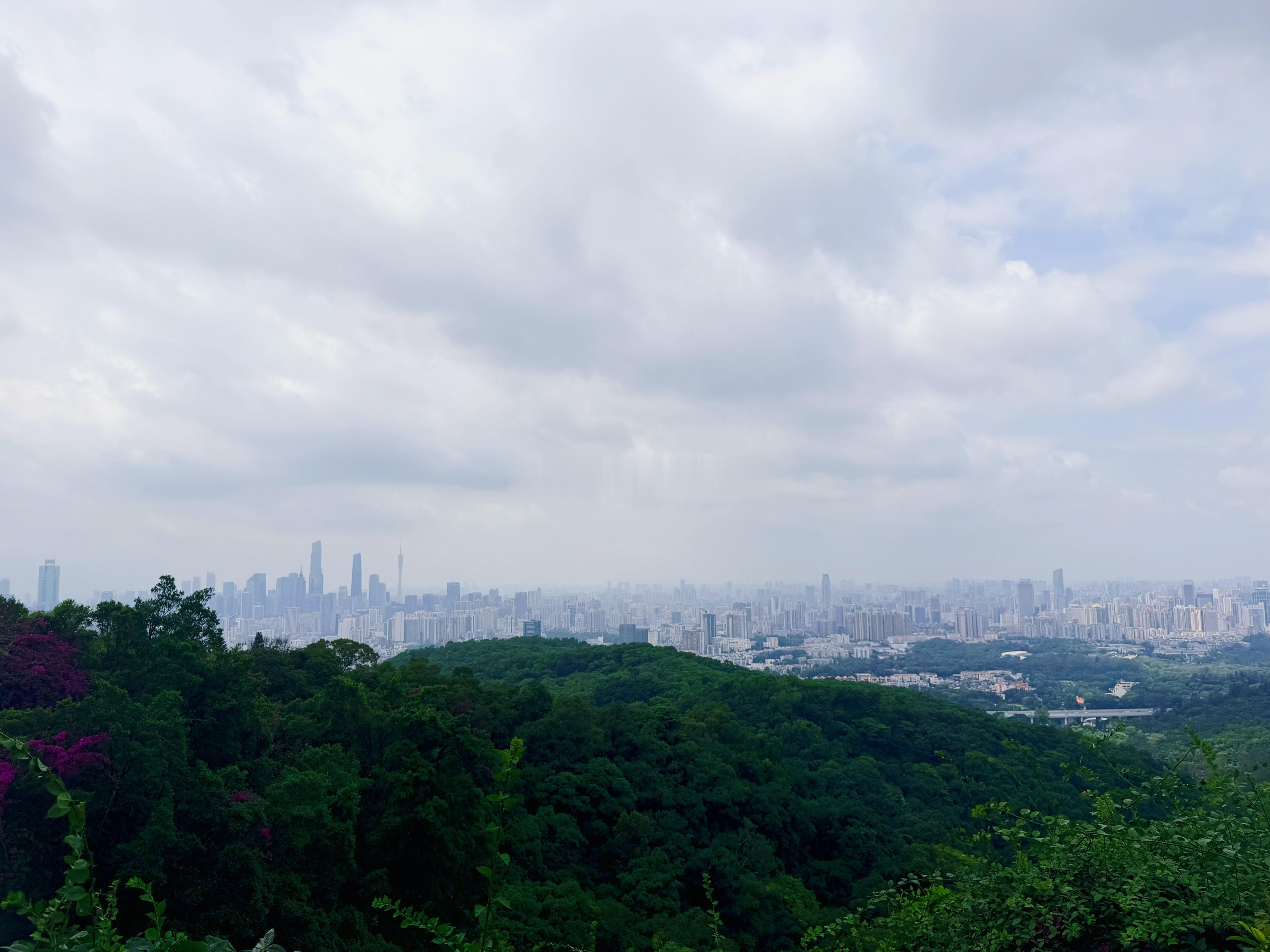 别问，问就是在半山腰 