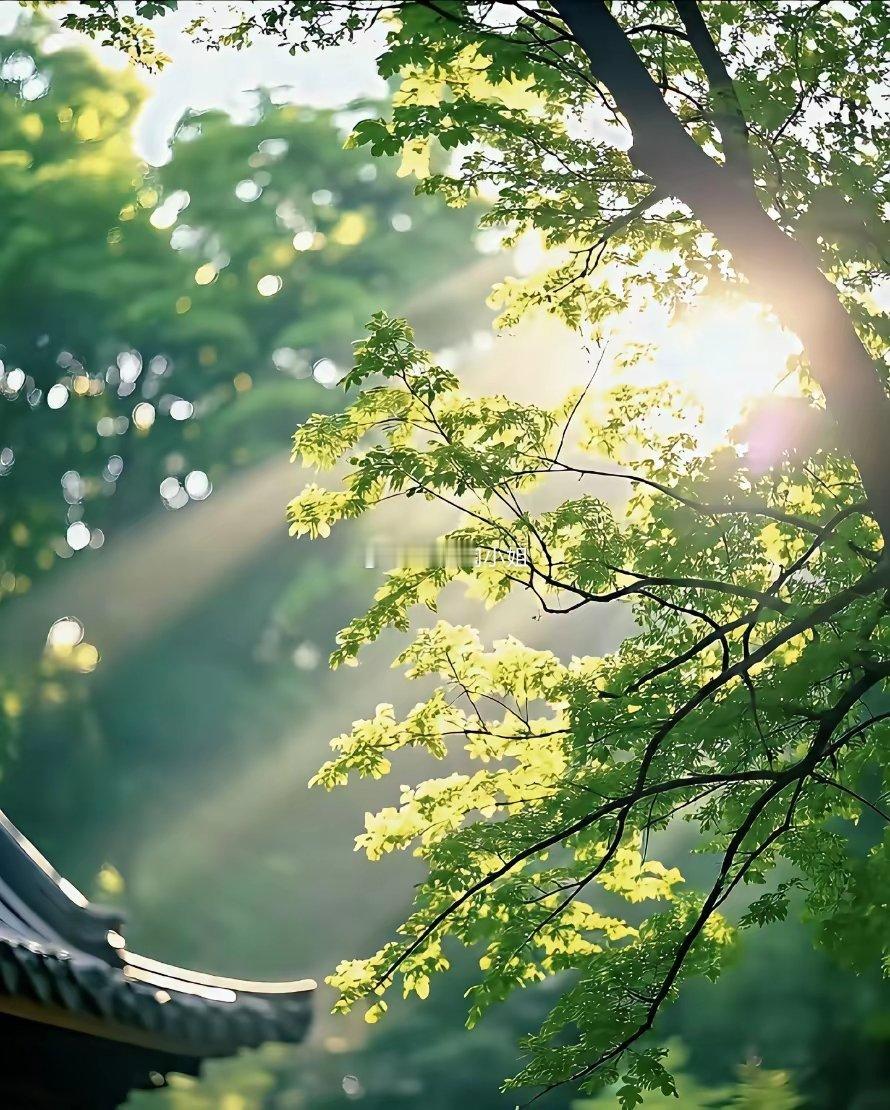 真正优秀的人每天聚焦三件事第一、养生运动人到中年别泡健身房要晨起拉伸唤醒身体要午