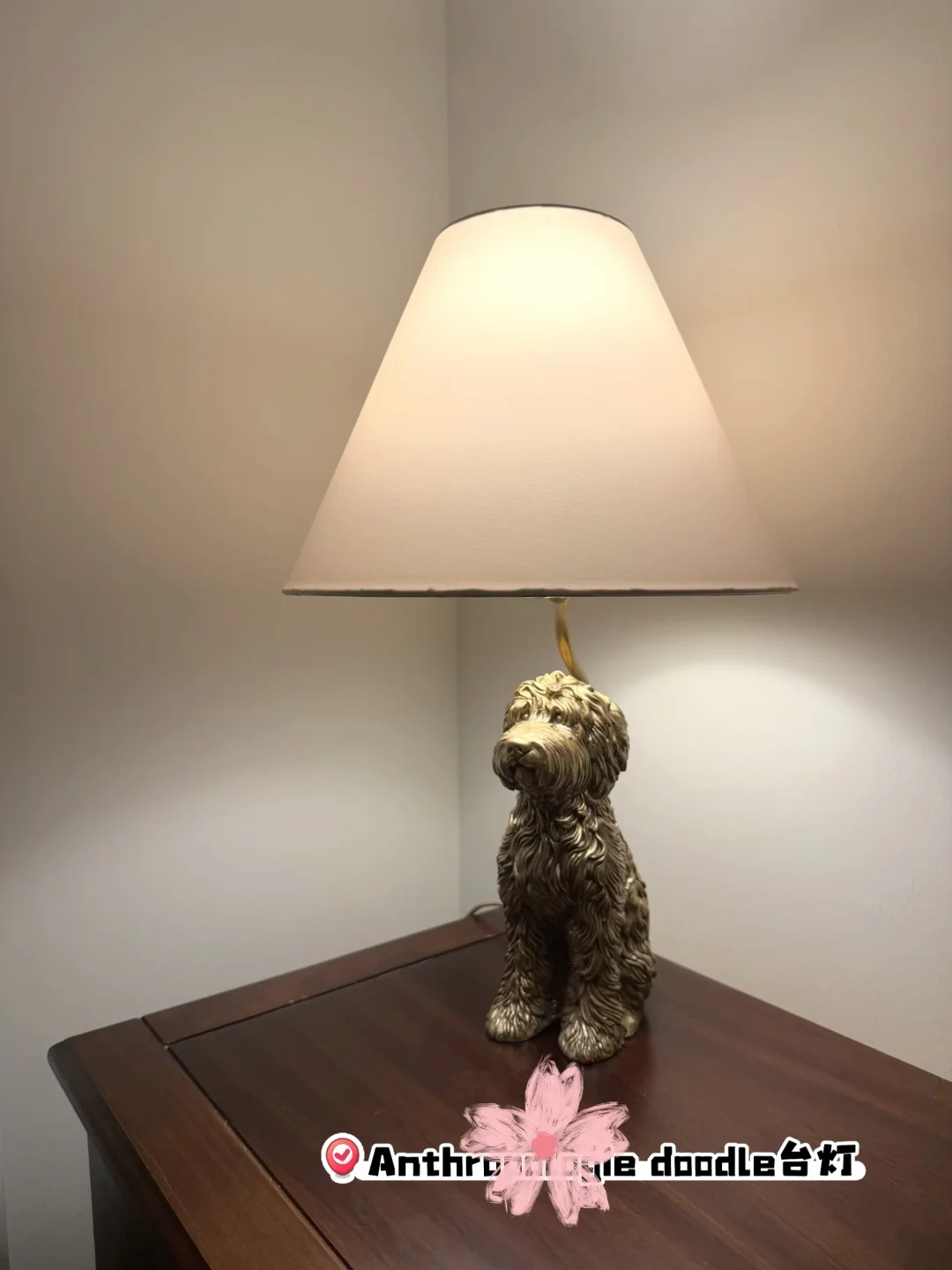 家里一些可可爱爱的动物元素🐱🐶