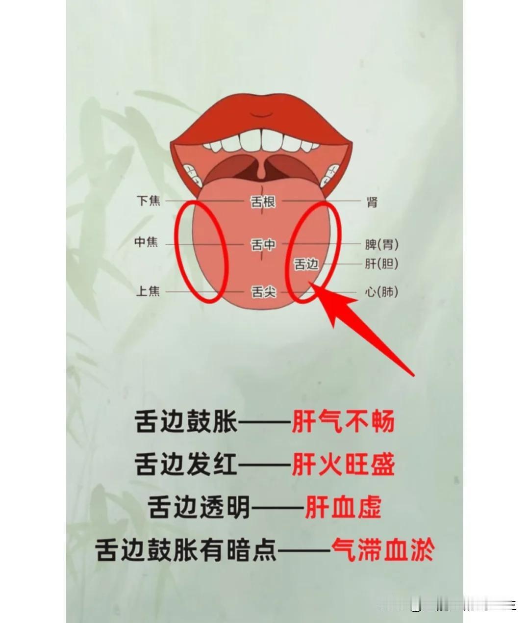 【中医舌诊分析】