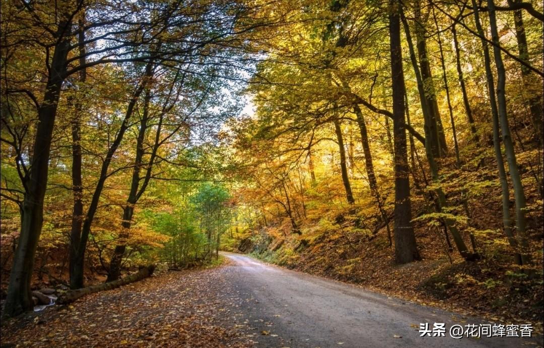 是年龄重要还是心态重要年龄只是数字，心态才是生活的底色。年轻心老易消沉，年长心宽
