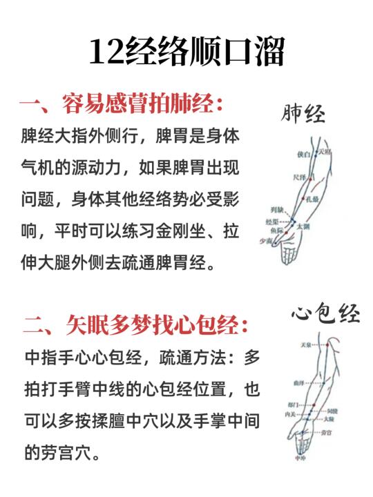 十二经络顺口溜版，简单好记🖐