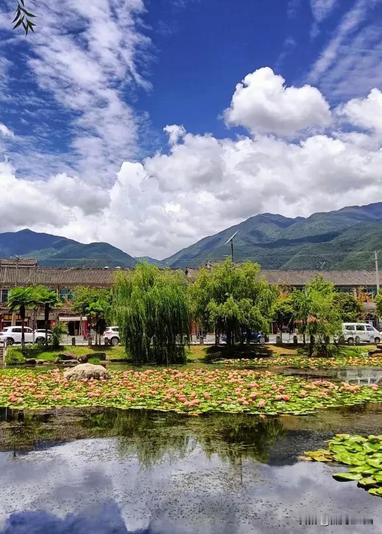 苍山洱海惹人醉，
蓝天白云荷花开；
五朵金花拍摄地，
喜洲古镇夏日欢！[玫瑰][