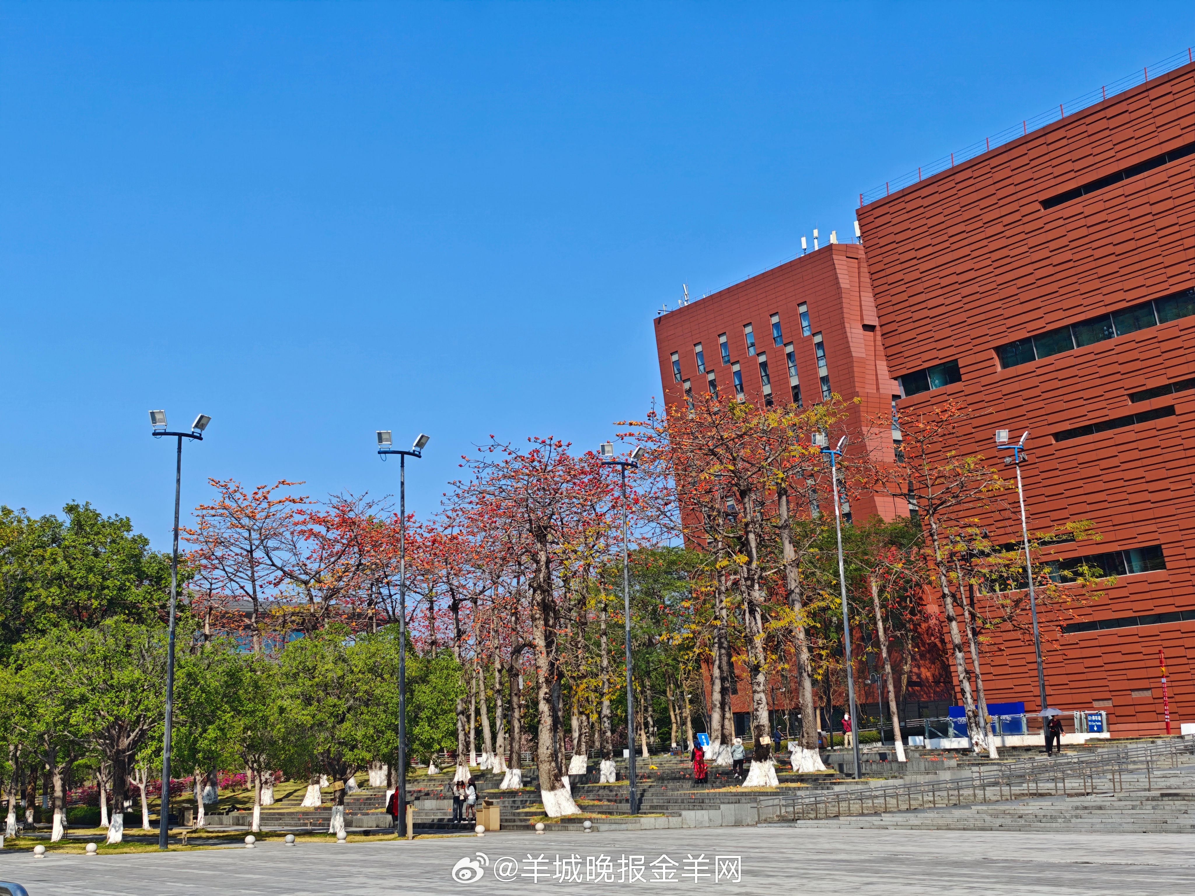 #早安#愿我们在每一个清晨，都像新生儿一样，带着好奇、勇气和纯净，去迎接全新的一