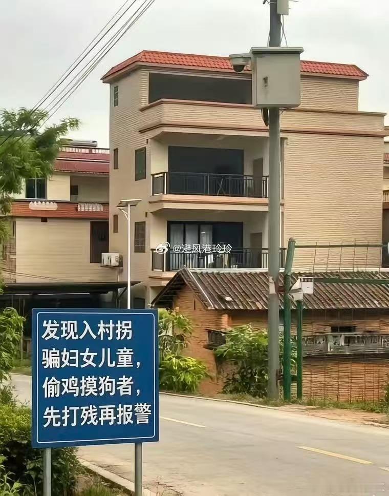 农村丢失儿童情况严重，村民恨死了人贩子，各式各样的人贩子走街串巷，大白天作案，猖