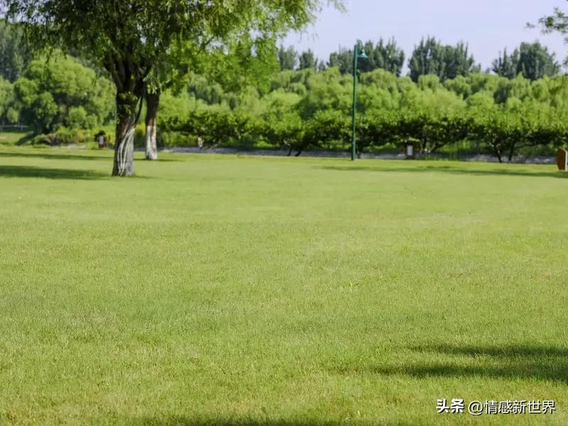 今天去公园溜达，随手拍了好多美景。一进公园，大片的郁金香映入眼帘，红的像火，粉的