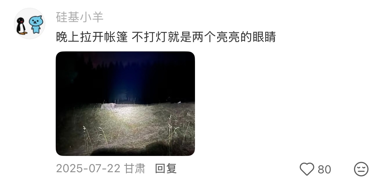 露营人都懂的瞬间 