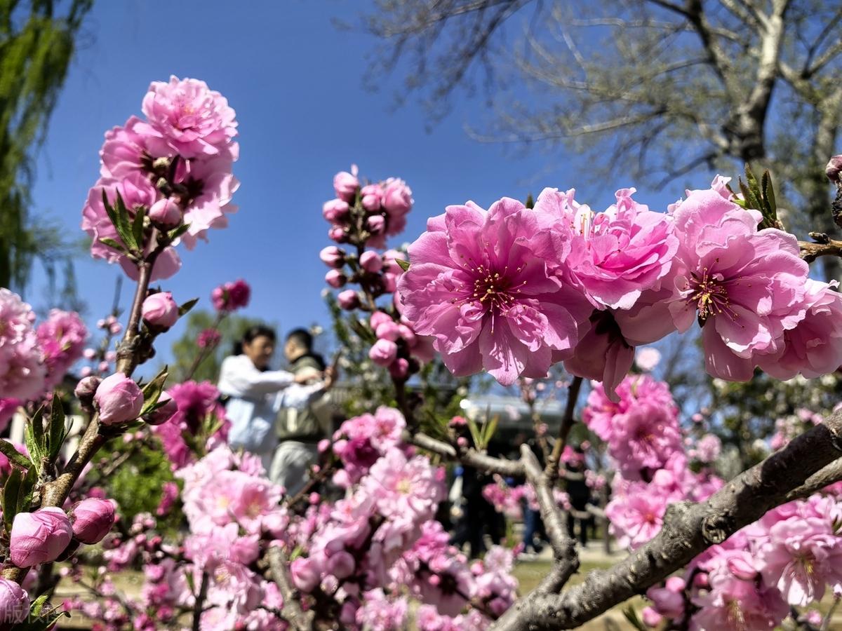 违法违理违规律，不合不适不服气，失道受阻，失势败落。与所爱的人长期相处的秘诀就是