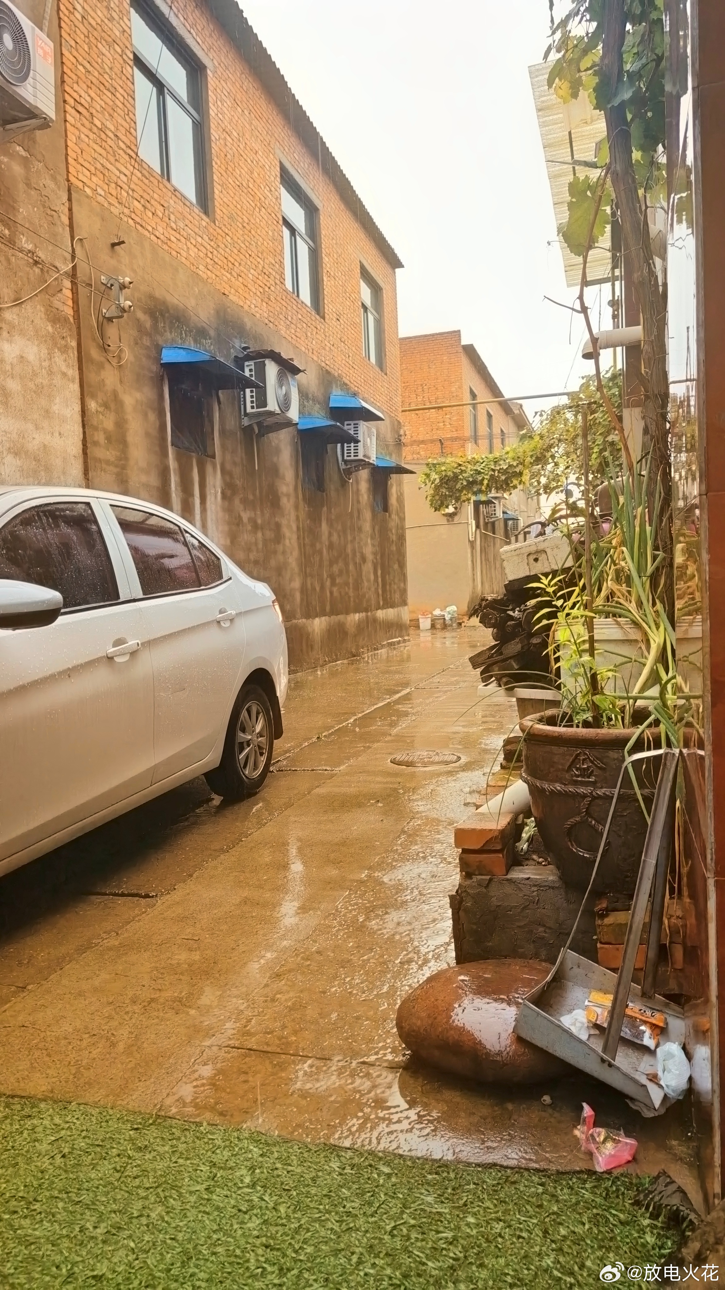 下雨天坐在门口，本想享受点诗意，结果成了免费洗车工。车越擦越脏，心情却越来越爽。