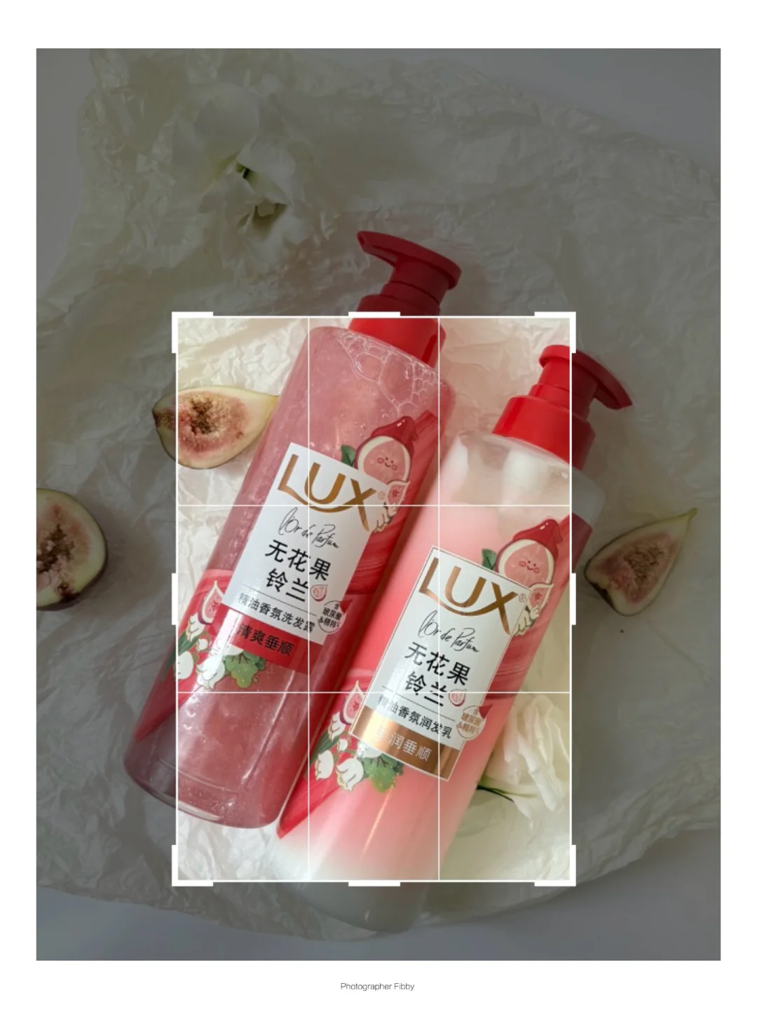 二次构图➕滤镜 坠入无花果梦幻世界🩷