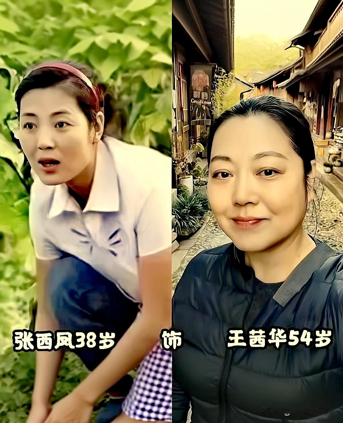 《女人的村庄》经典乡村剧角色与演员大PK，谁更胜一筹？
王茜华、黄晓娟、贾承博、