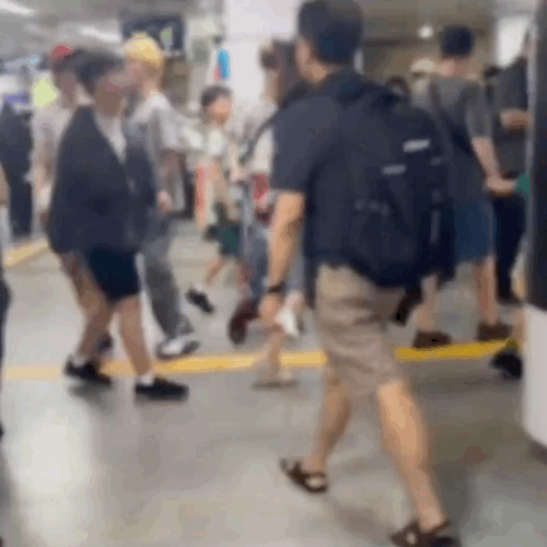 笨熊 