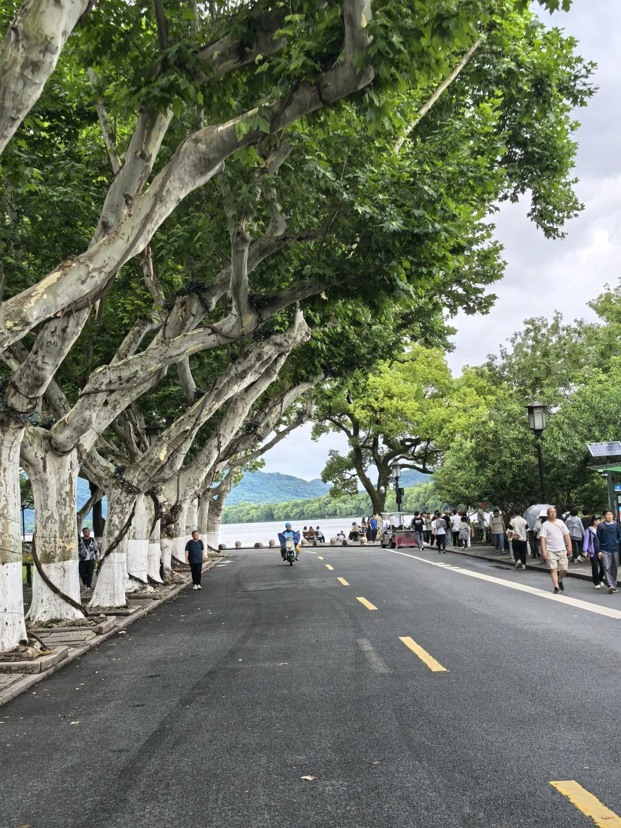 夏日生活打卡季端午假期，打卡杭州西湖。