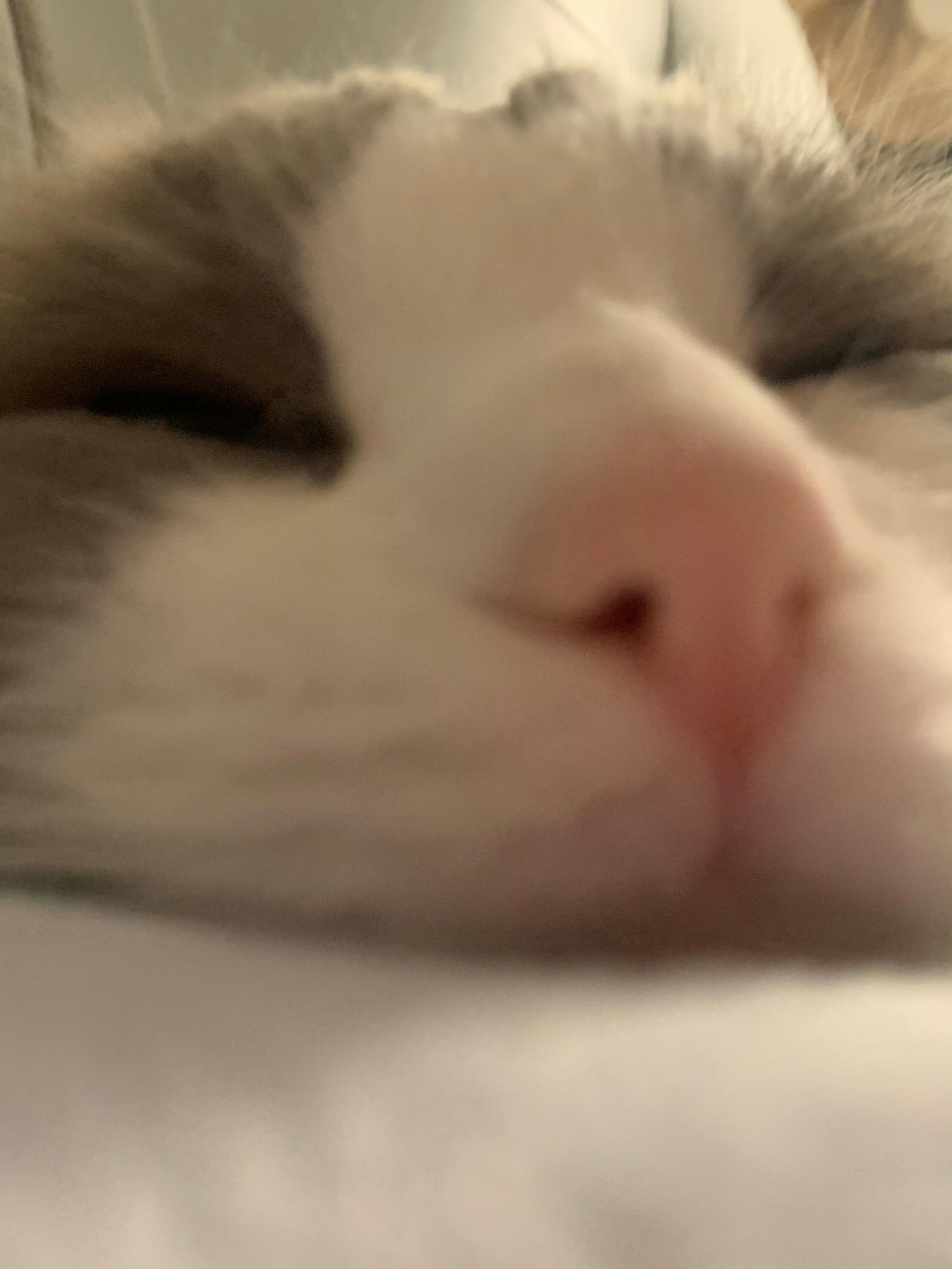 😴 ​​​