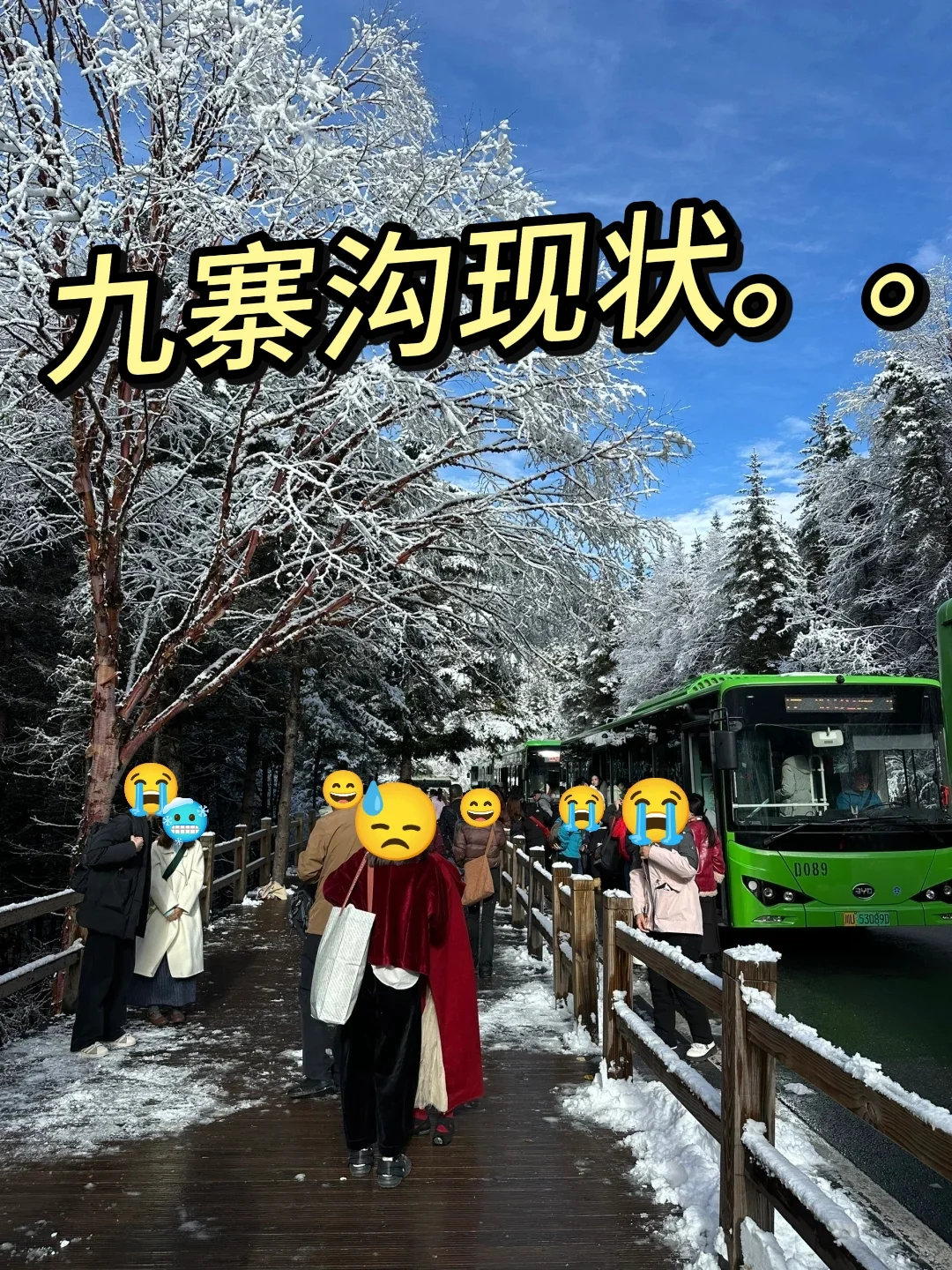 11.14📍九寨沟现状…已崩溃！要去的姐妹注意