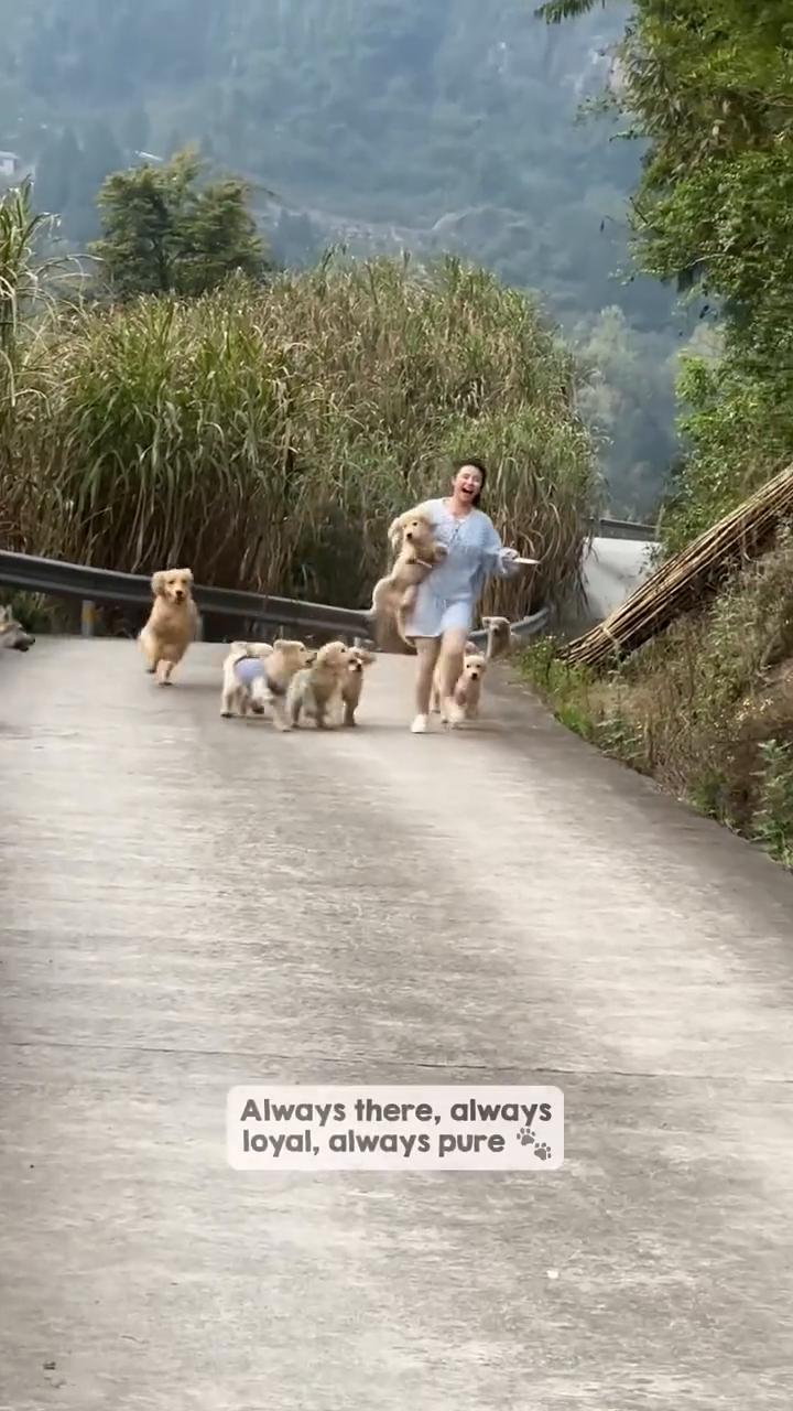 Here's why dogs are simply the best.They