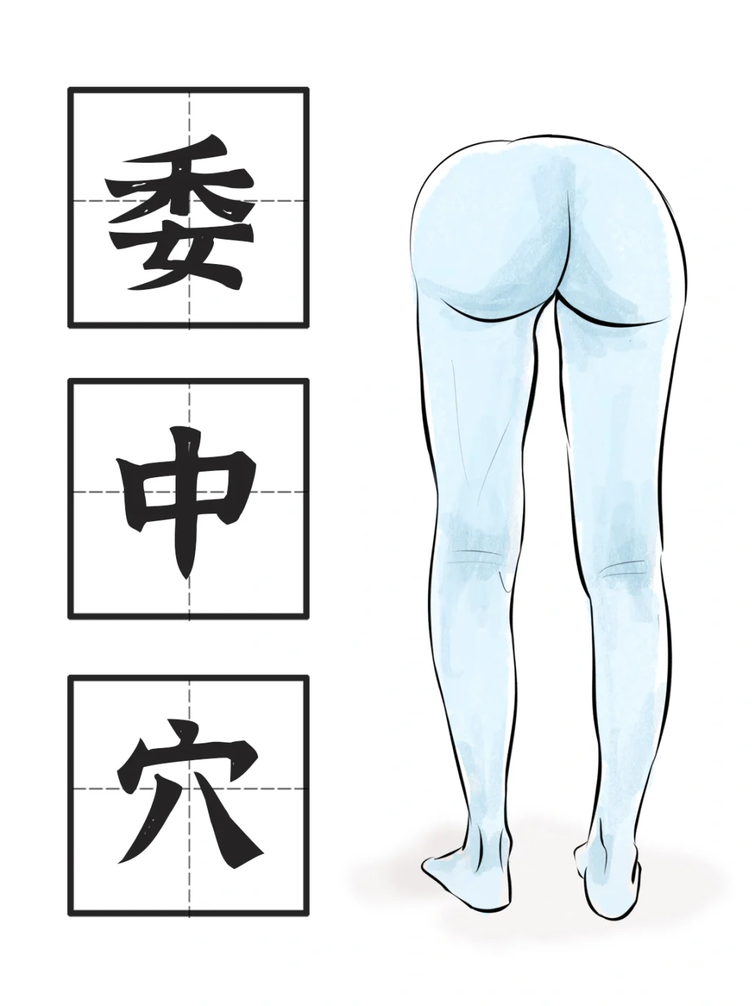 膀胱经-委中穴 （解毒大穴）
