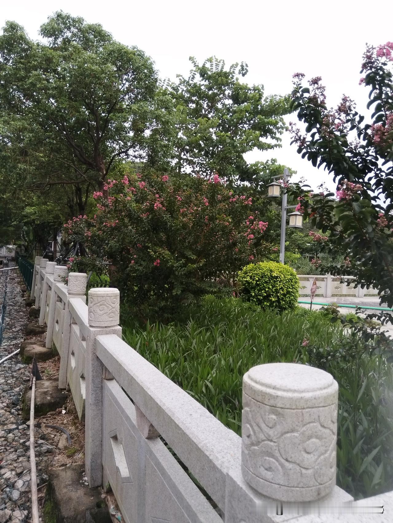 早安，愿你被世界温柔以待早晨温暖的话语 晨光早安时刻 

推开窗，晨光像一层薄薄
