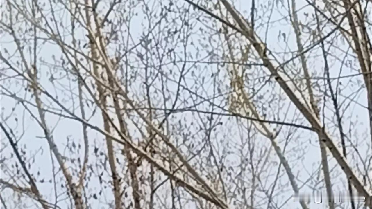 五一风景随拍