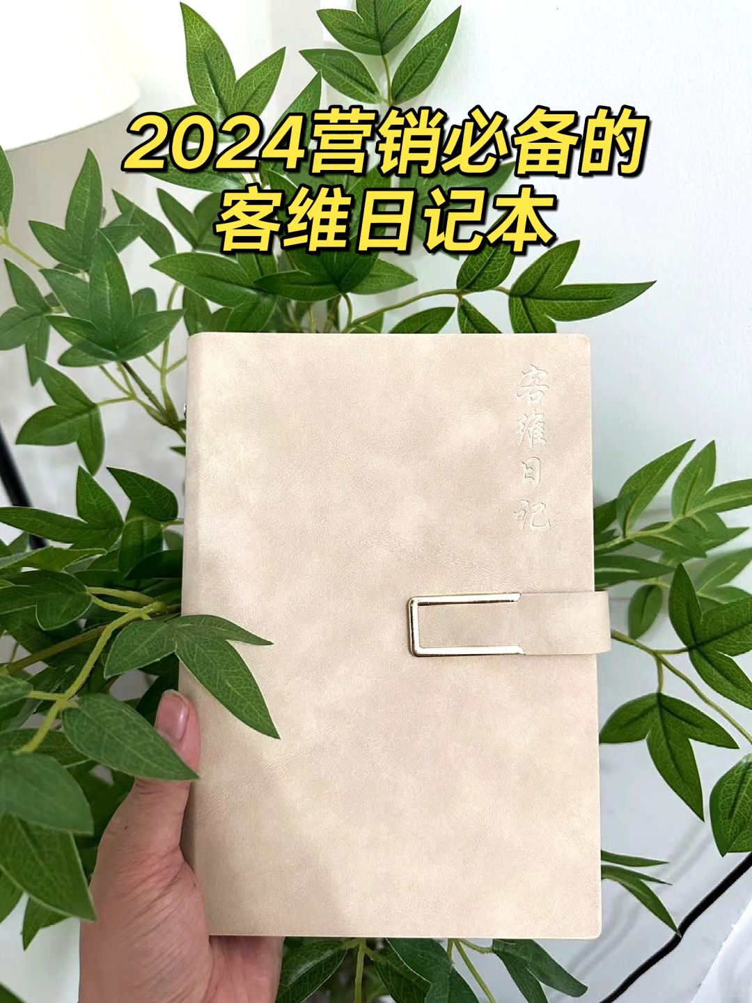 被问爆的2024年营销日程本来啦！真的超实用