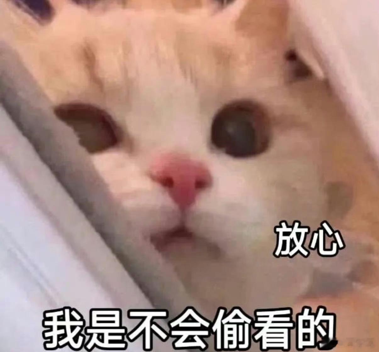微博访客记录反正活在自己对自己的期待中，别人的眼光可以不在意。 