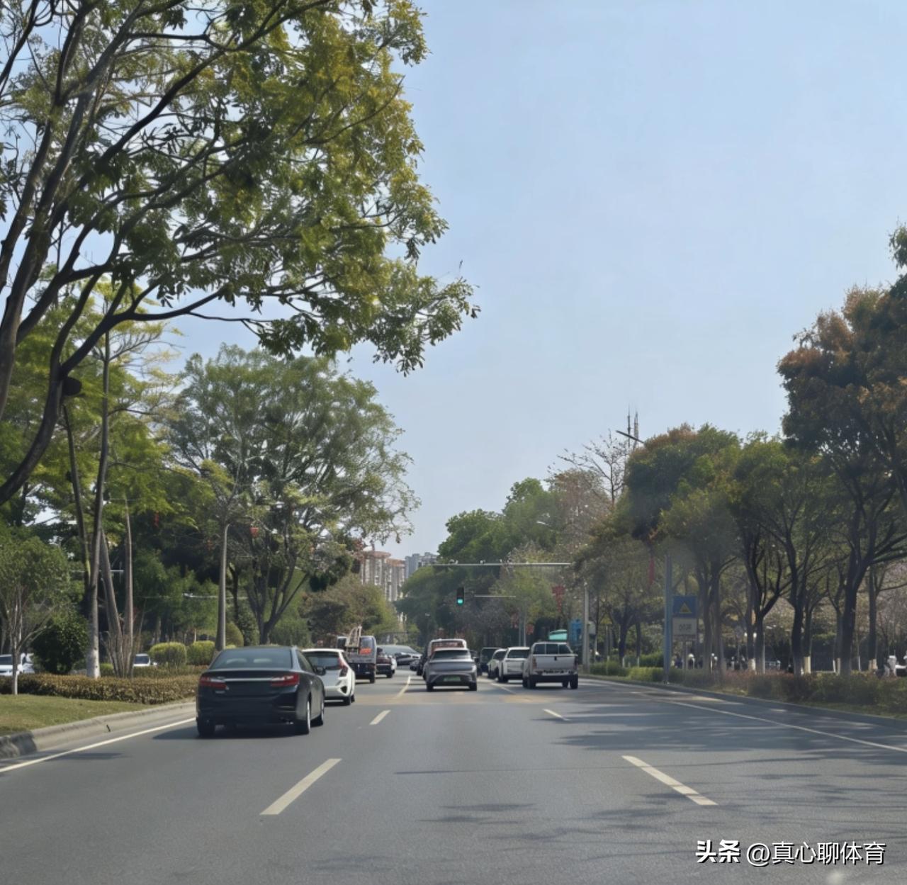 道交法作了重大调整[捂脸][捂脸][捂脸]
经过这两年的观察，大量龟速车辆（轿车