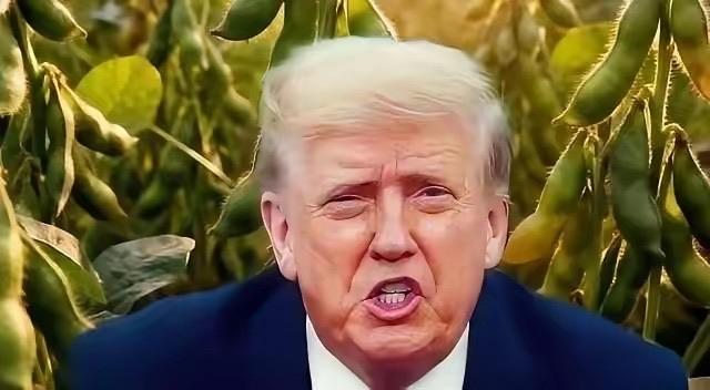 万一阿根廷，美国，巴西三国大豆全部涨价，中国怎么办？

三路豆子一起喊涨，咱们饭