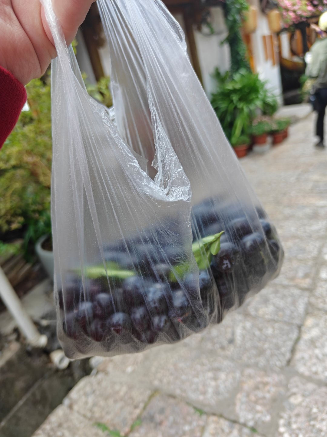 云南这蓝莓确实便宜啊 一斤 30 块钱… 