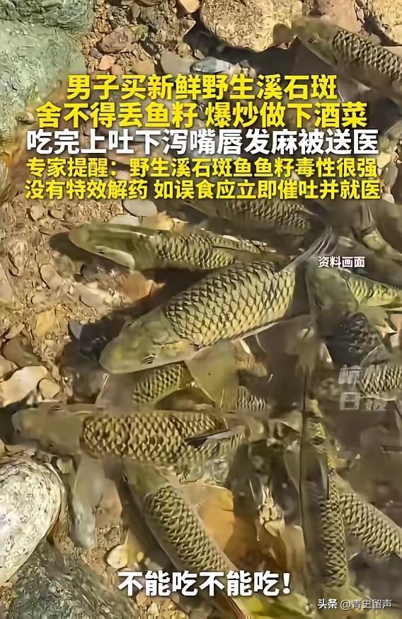 “悲剧还是发生了！”5月24日报道，浙江，一男子买了野生溪石斑，因为舍不得丢掉鱼