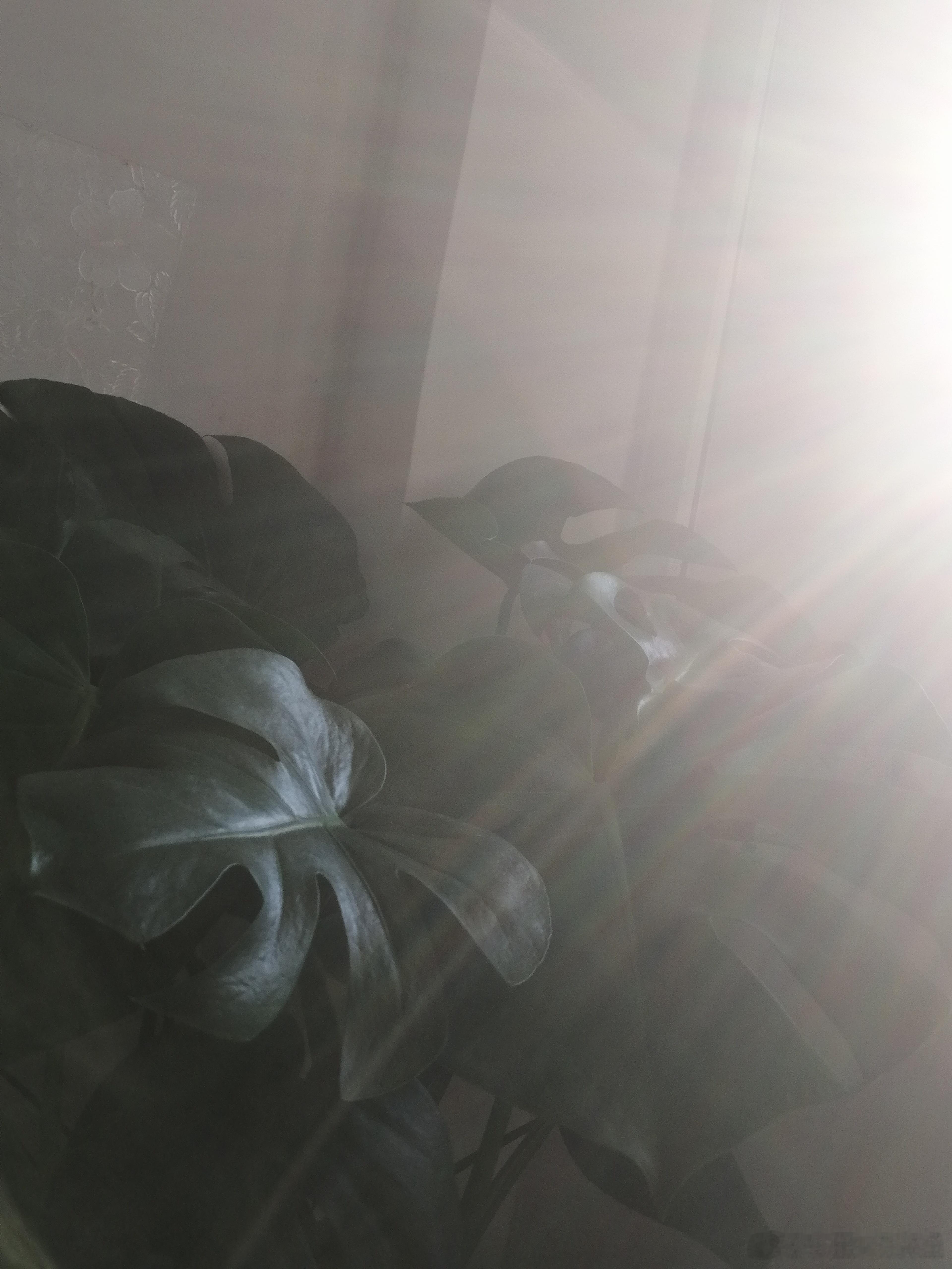 生活手记让光照进来 