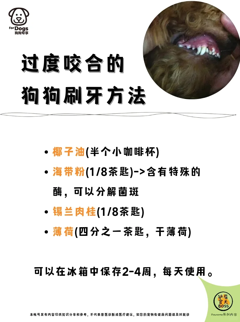 过度咬合的狗狗刷牙方法