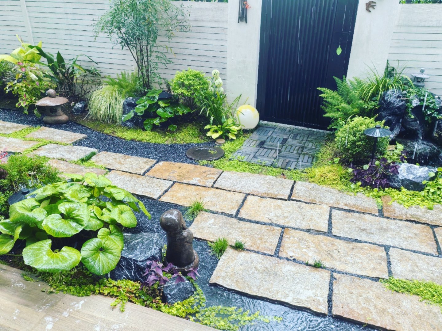 生活手记 雨总算下下来了。喜雨……☔☔☔ 