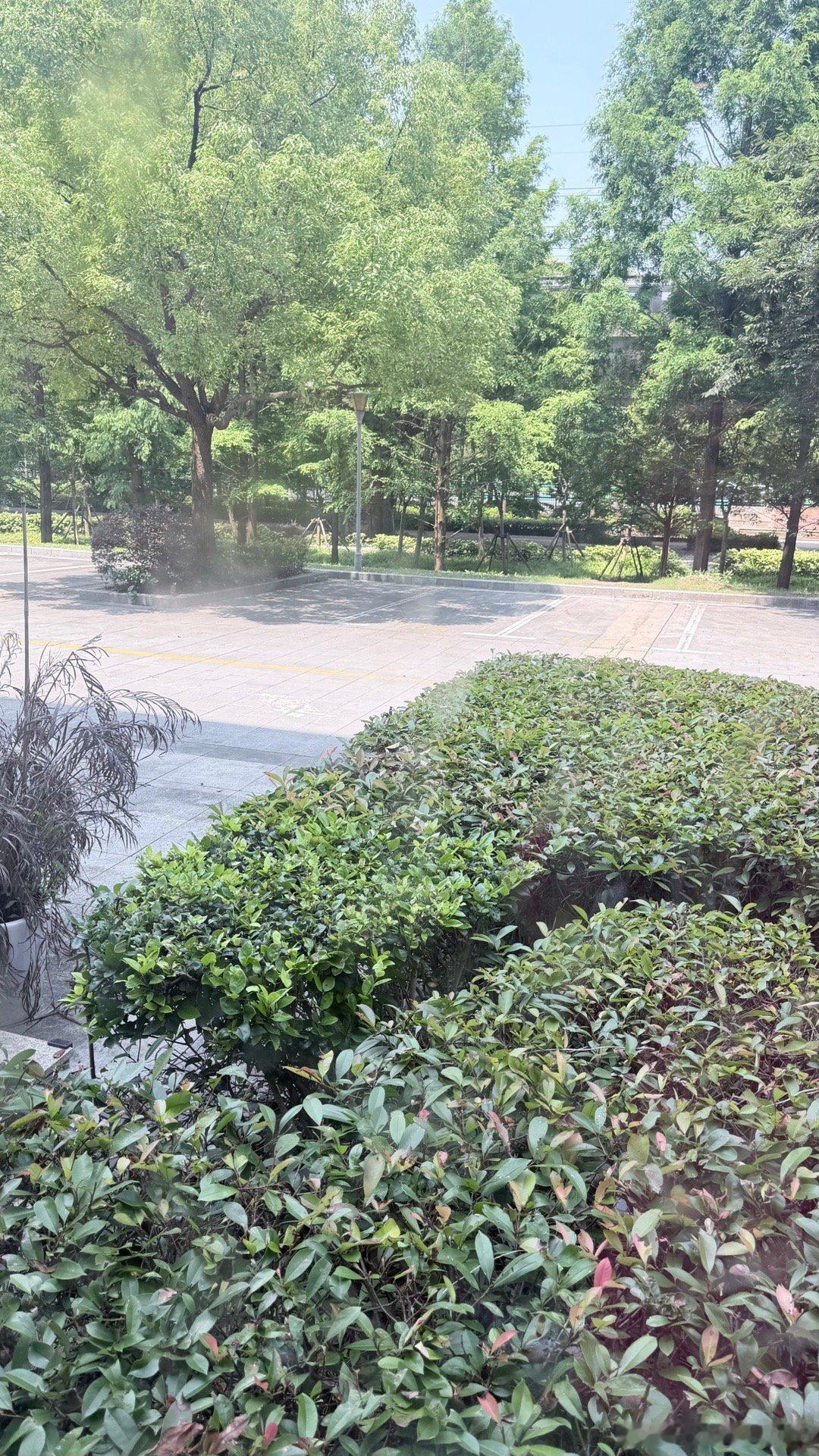 终于出太阳啦。 