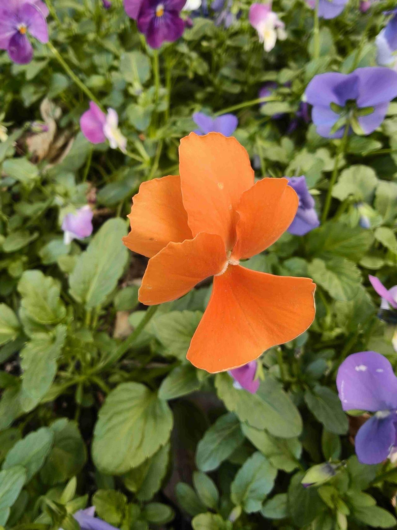 我的今日状态：🏃‍➡️运动
我这里的天气：🌤️多云