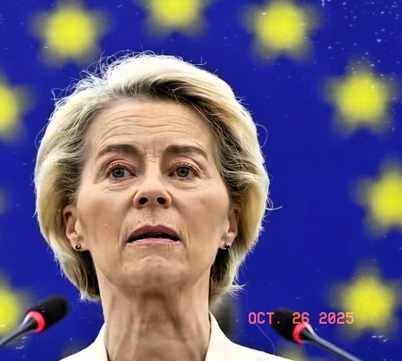 在中美第五轮经贸会谈的关键时刻，欧盟委员会主席冯德莱恩为迎合美国，发表了对中方不