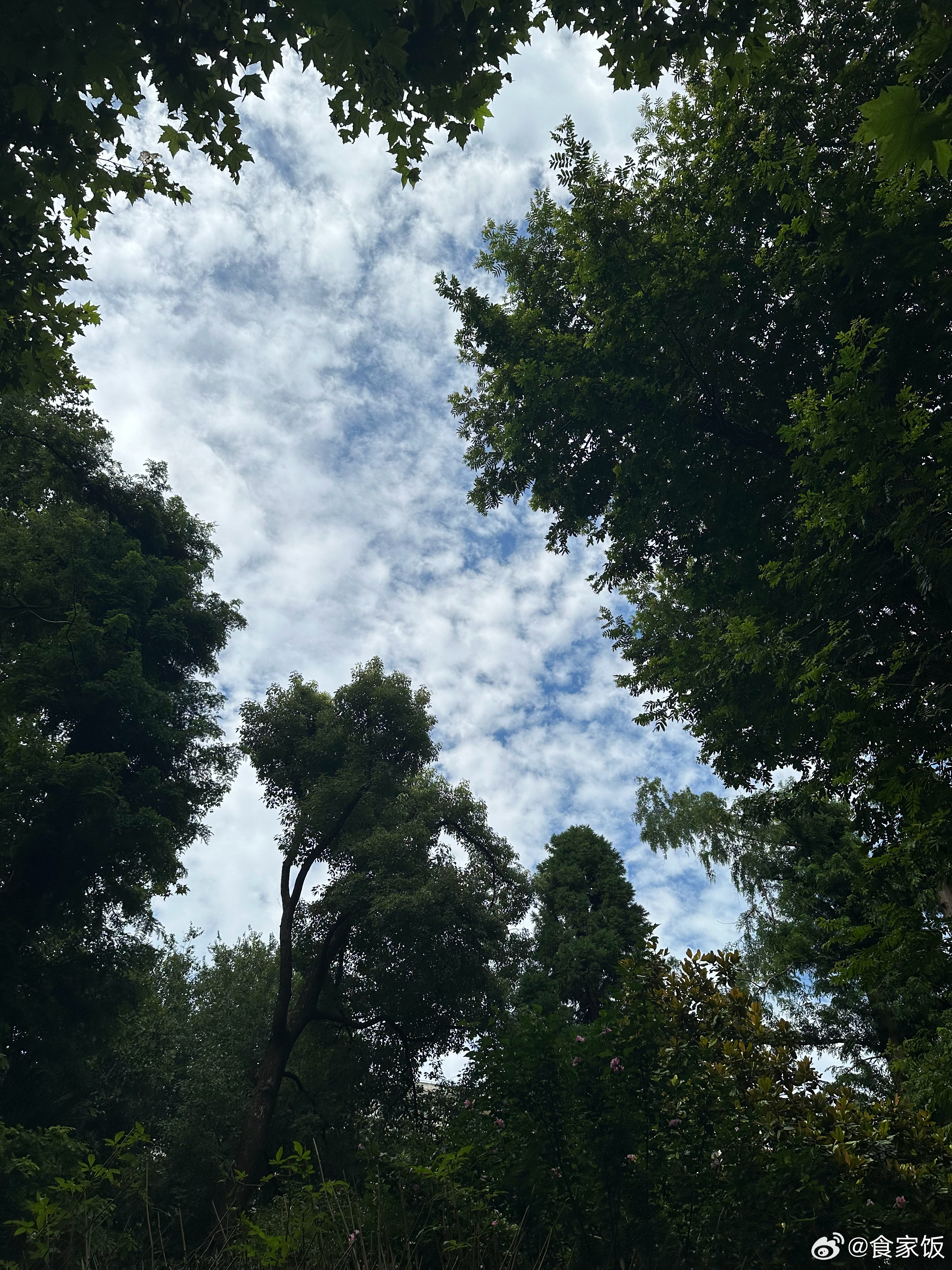 家中粮草堆山那样备足。甚至连许久不能关闭的室内水龙头总闸都在昨晚修好了，万一漏水