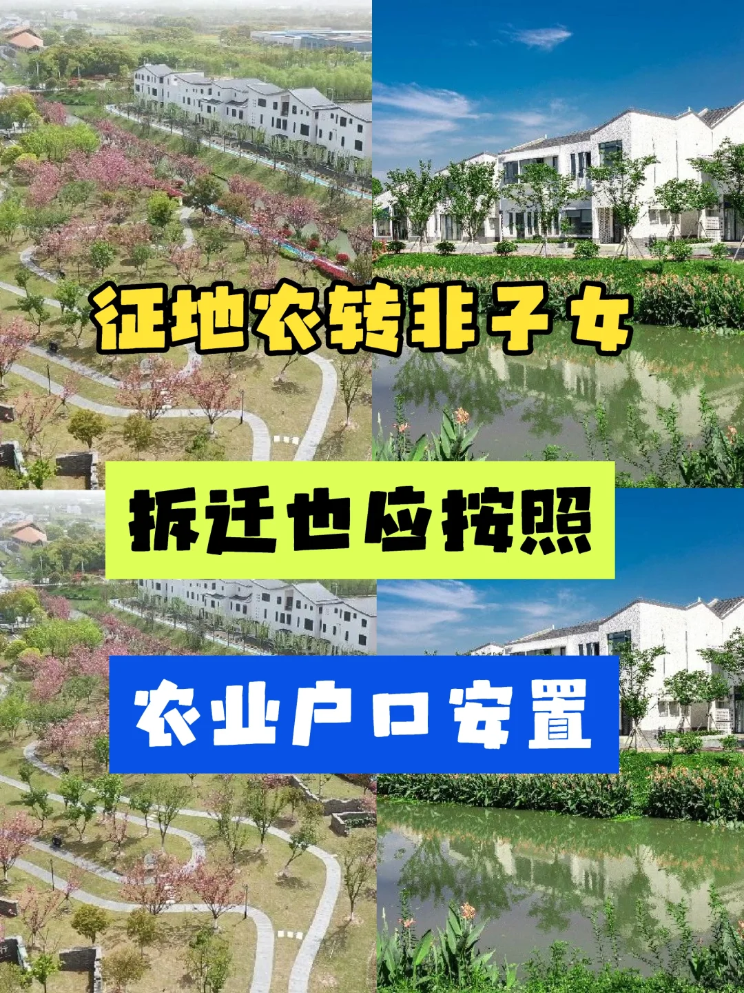 征地农转非子女也应按照农业户口进行安置！