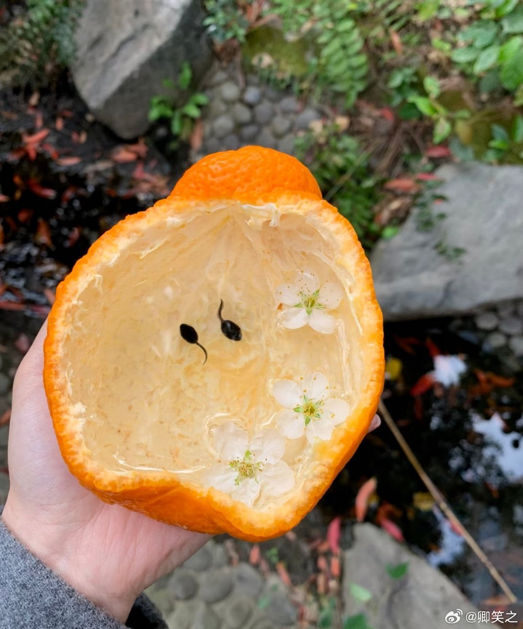 有趣的春天，我就是喜欢春天 春风里派对青醒高光time