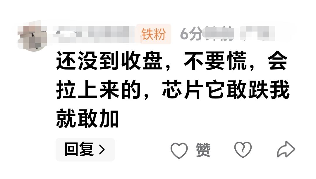 基金：还没到收盘，不要慌，会拉上来的，芯片它敢跌我就敢加。  这是一位朋友的留言