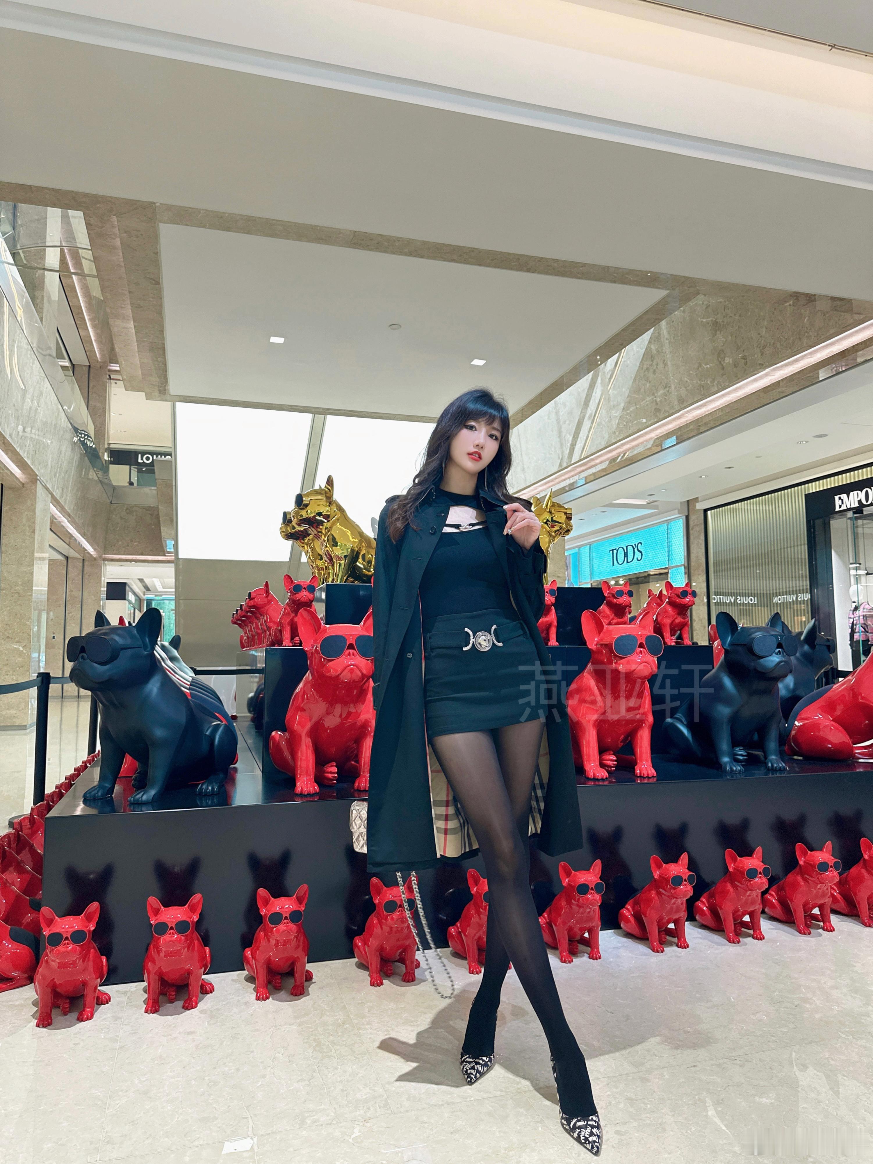 🐕‍🦺合唱团🎶〰️Image source / ​​​