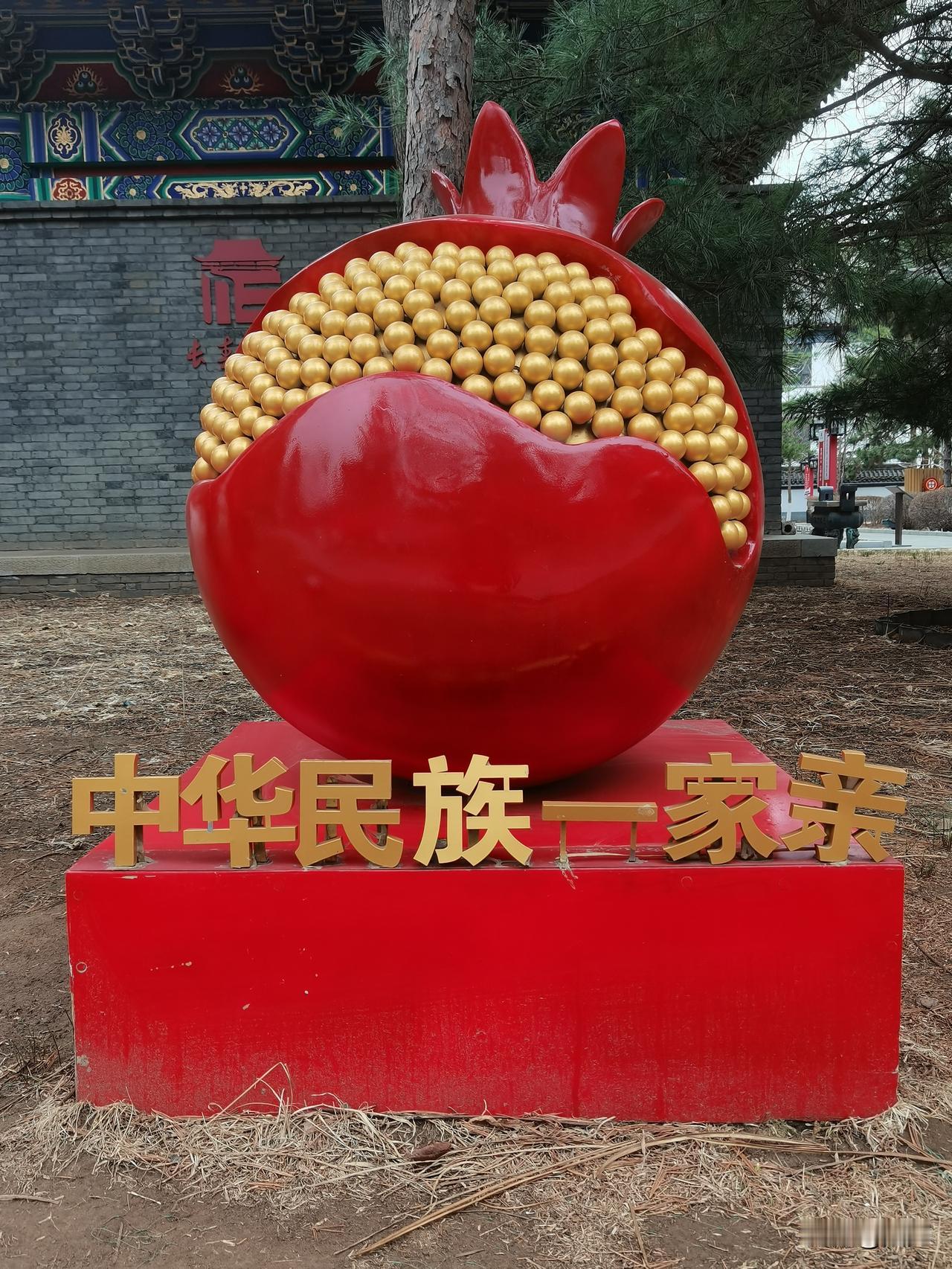 午休间观长春文庙
整体印象：
红墙黄瓦，古树碑亭，正午阳光洒落，庄重而清幽。免费