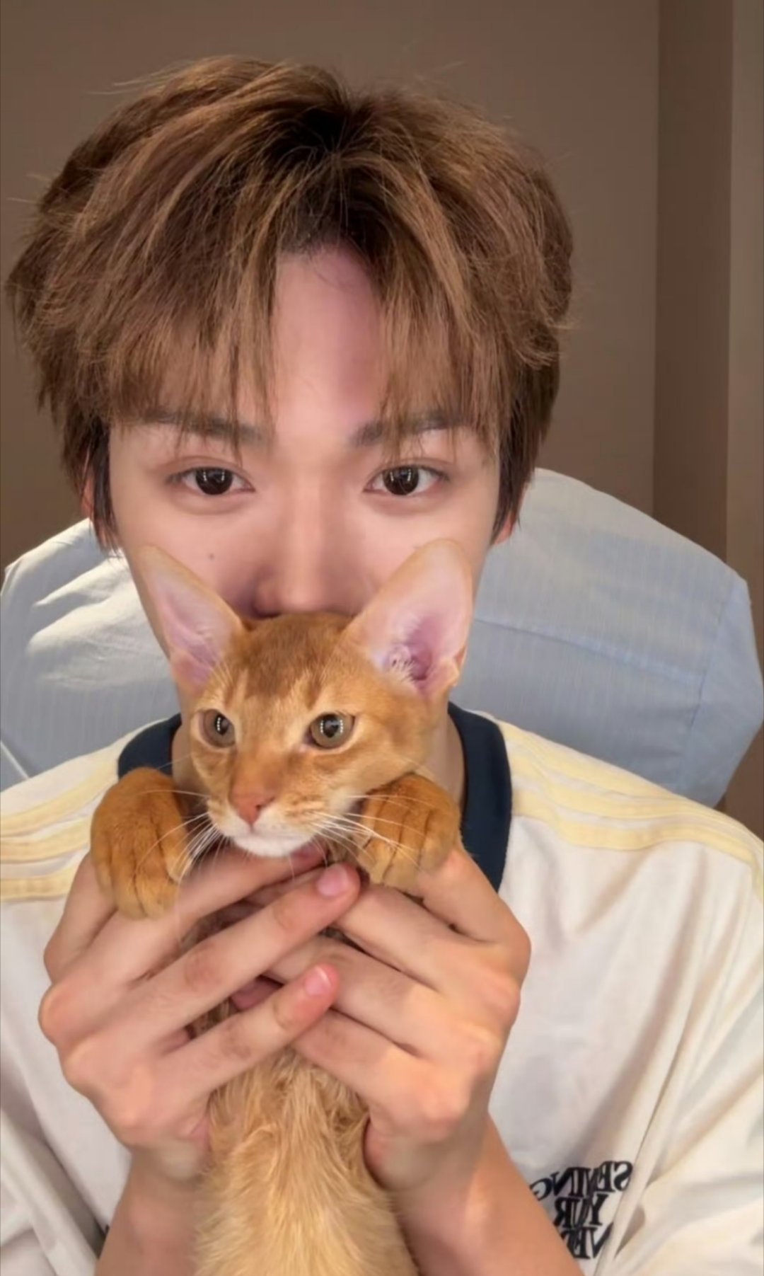 看梓渝的直播分享啦啦啦啦梓渝多多分享旅游趣事呀哈哈哈🐱小猫很可爱