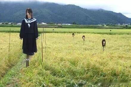 见过最可爱的稻草人搞笑乐不停卧槽，没想到你们是这样的稻草人[允悲],最后一个，鬼