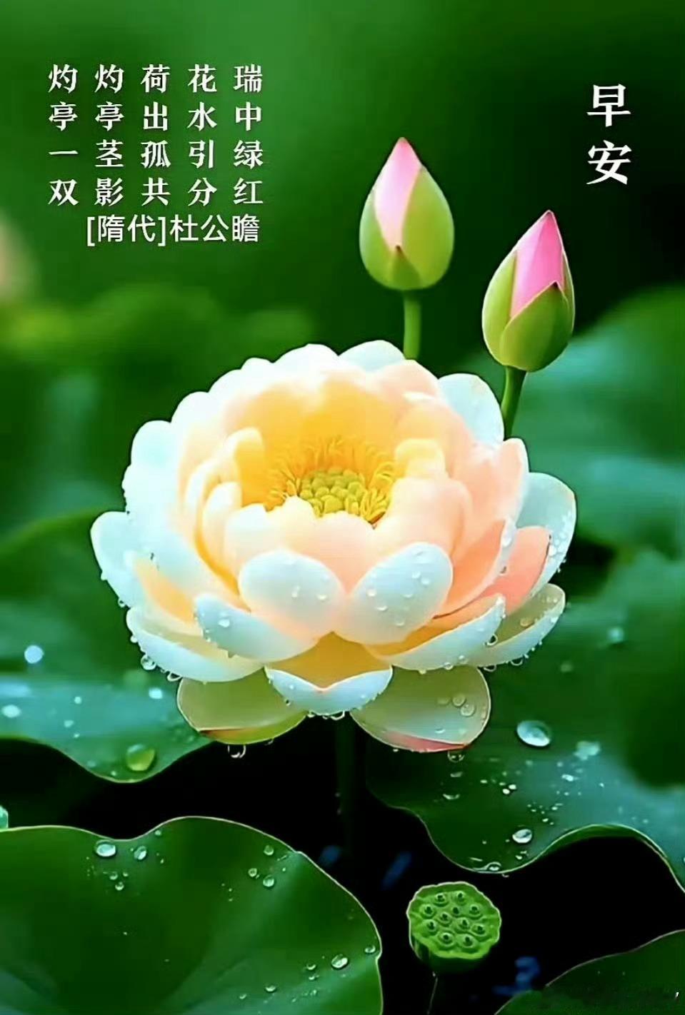 极度真诚从非愚钝，而是“我明牌，你随意”的坦荡——深知长久的关系从无虚伪套路可言