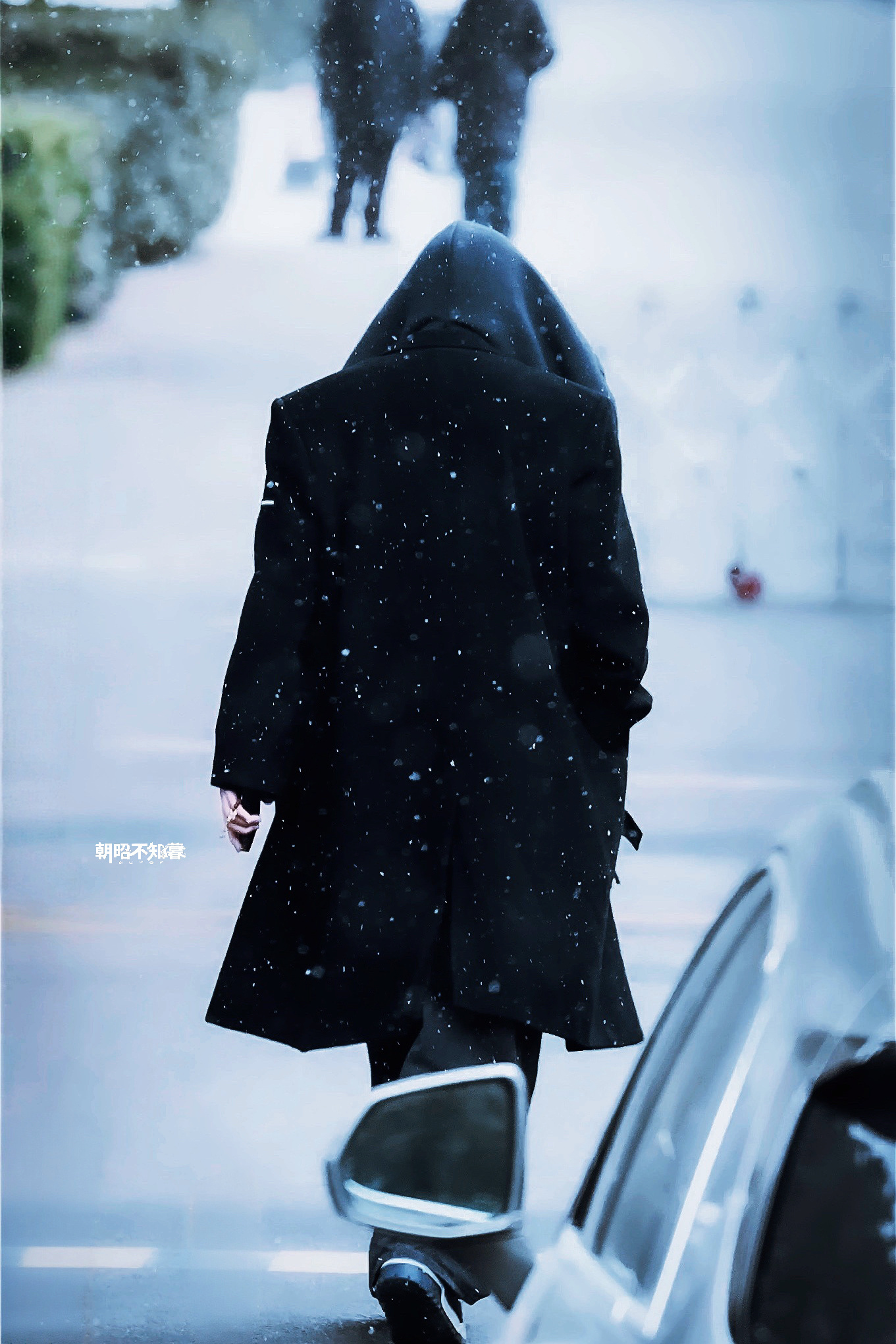 他朝若是同淋雪，此生也算共白头！致敬那个美丽的冬天！刘宇宁 |刘宇宁地球超新鲜 