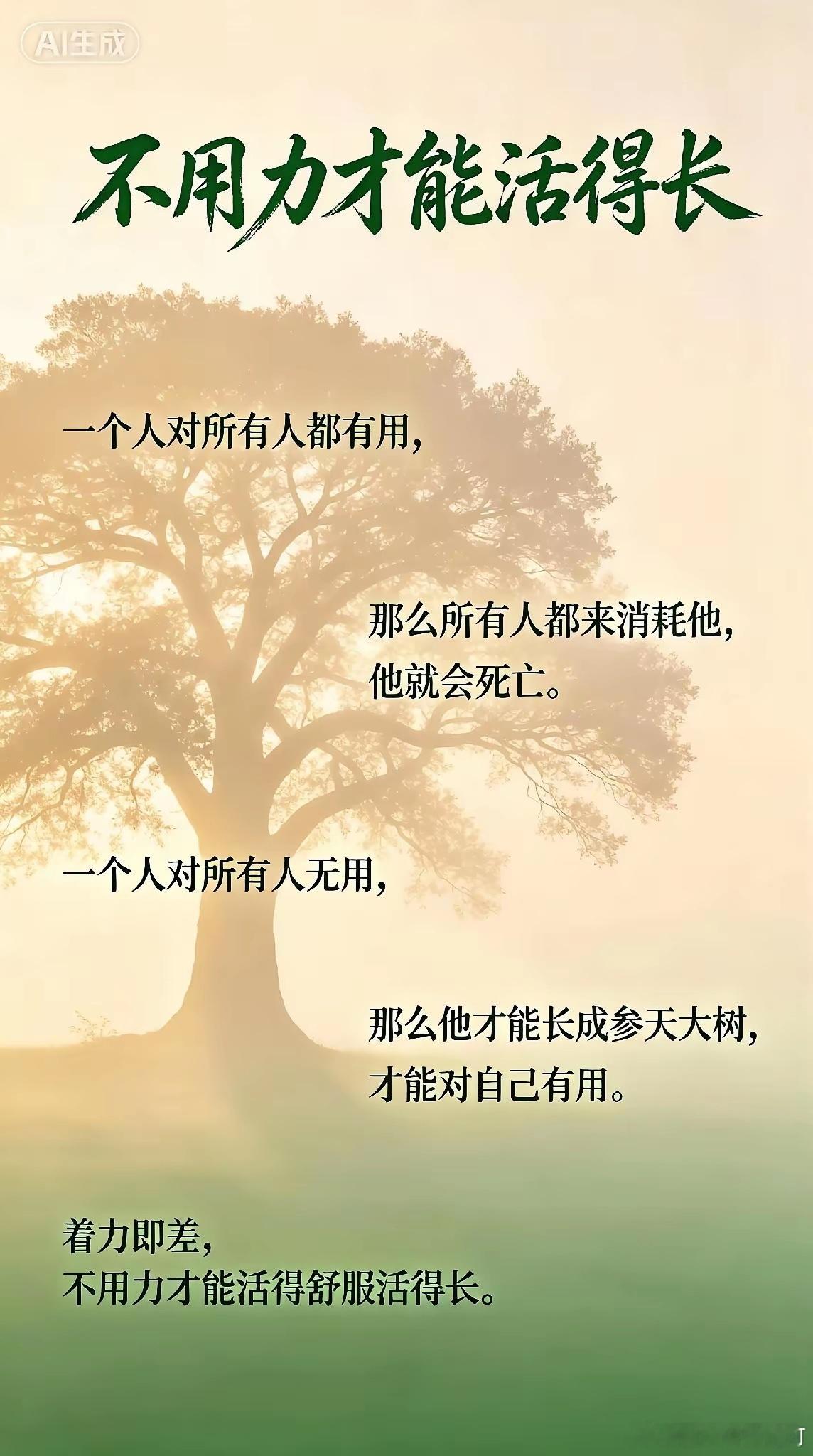 懒一点才是对的 ​​​